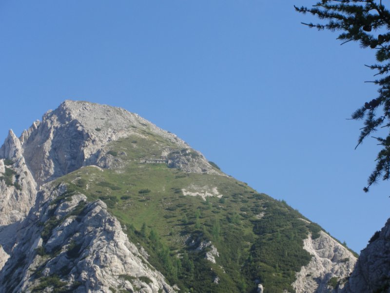 dvepici19.jpg