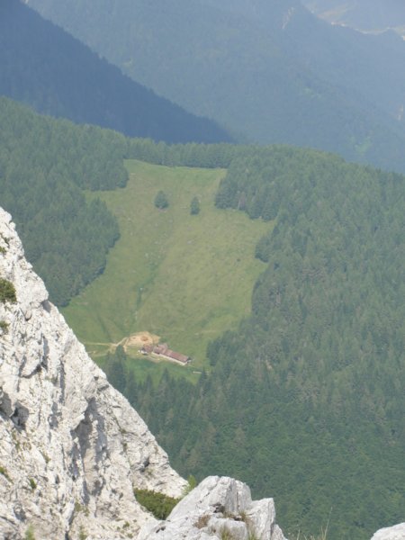 dvepici65.jpg