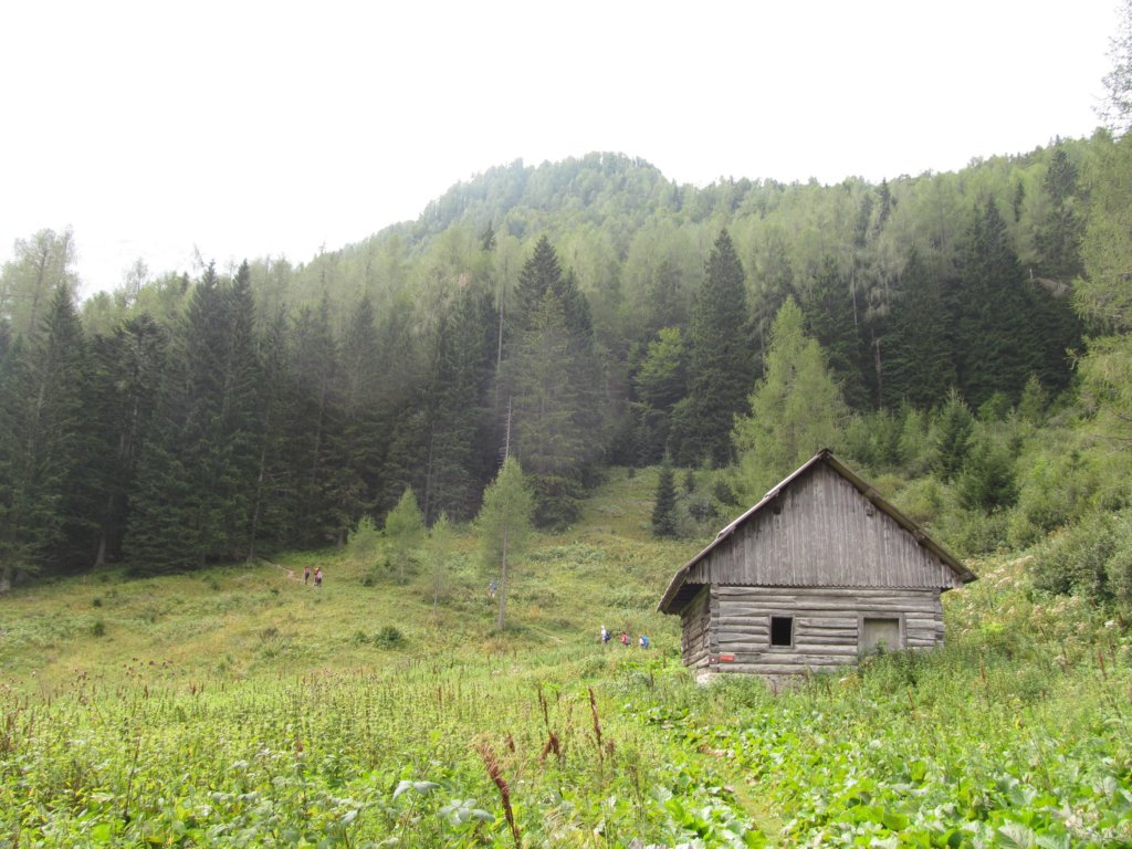 ekakoa19.jpg