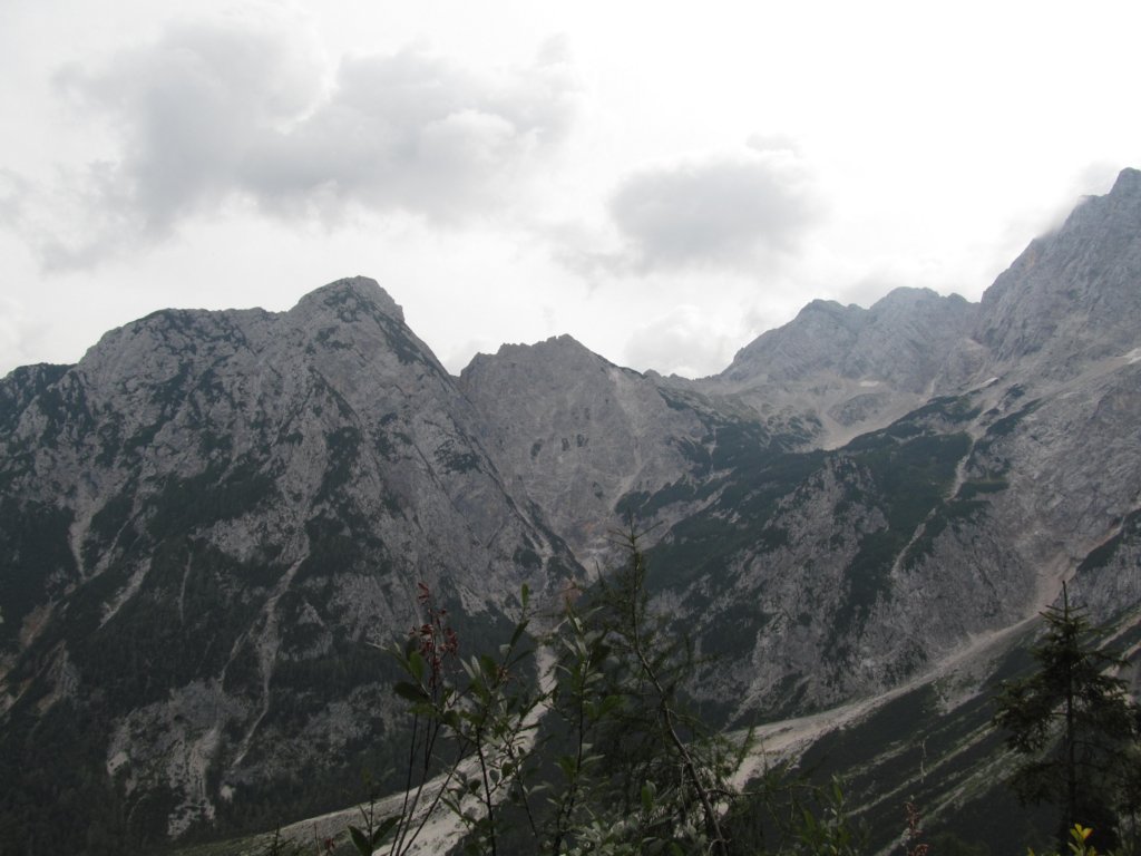ekakoa27.jpg