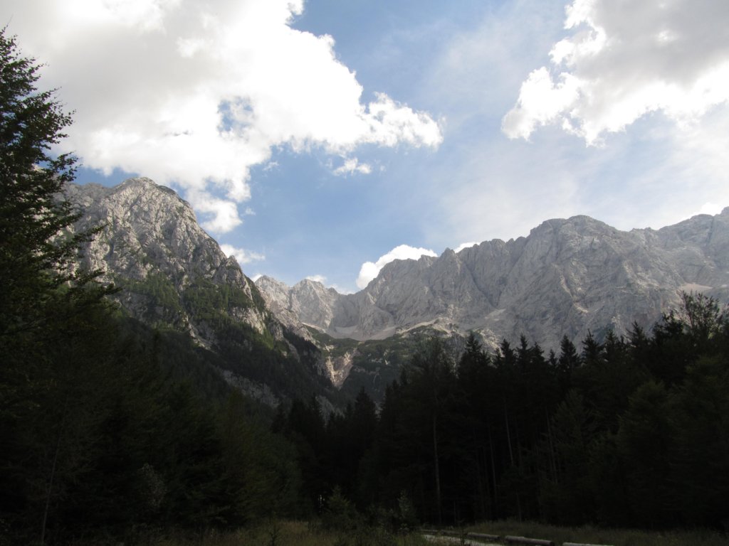 ekakoa65.jpg