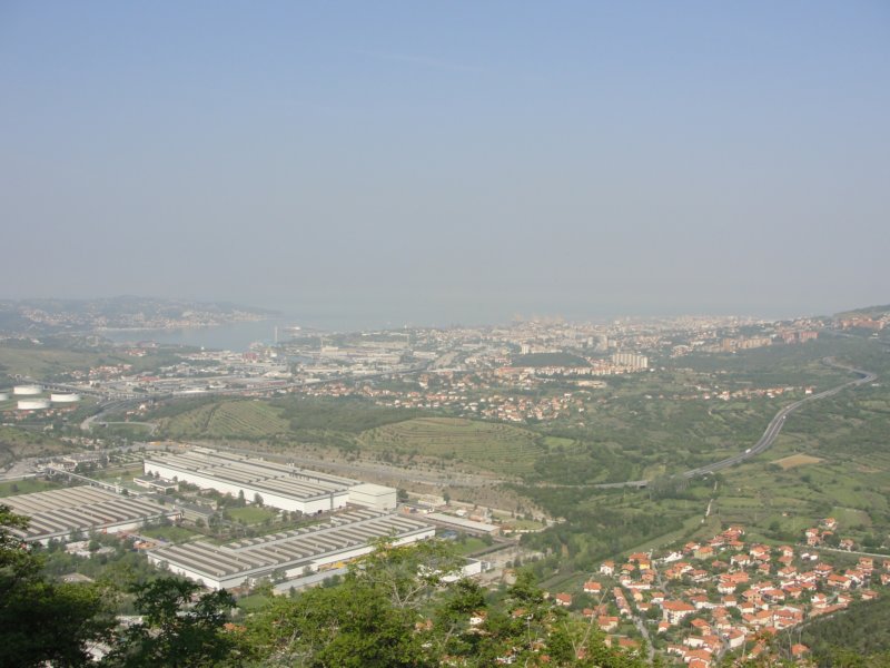 glinica37.jpg