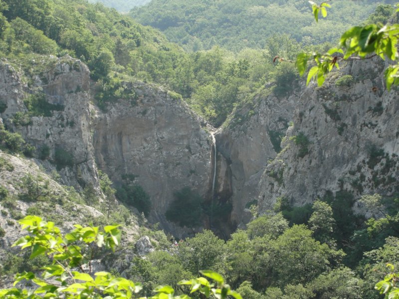 glinica73.jpg