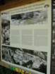 glinica77_small.jpg