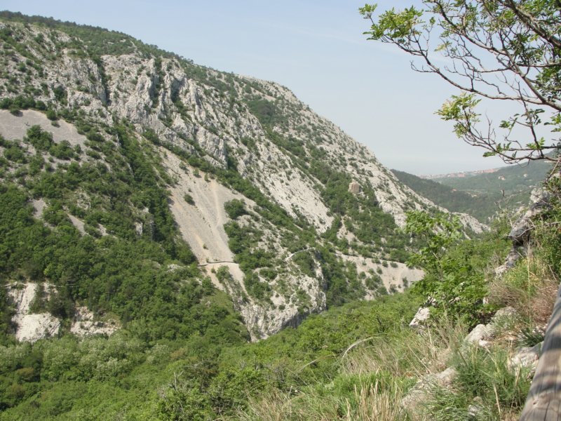 glinica82.jpg