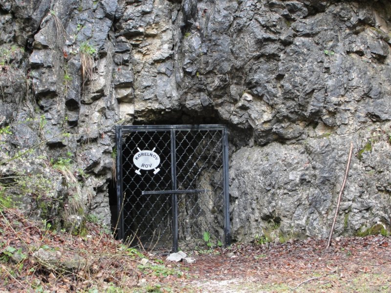 ptijivrhgolica18.jpg