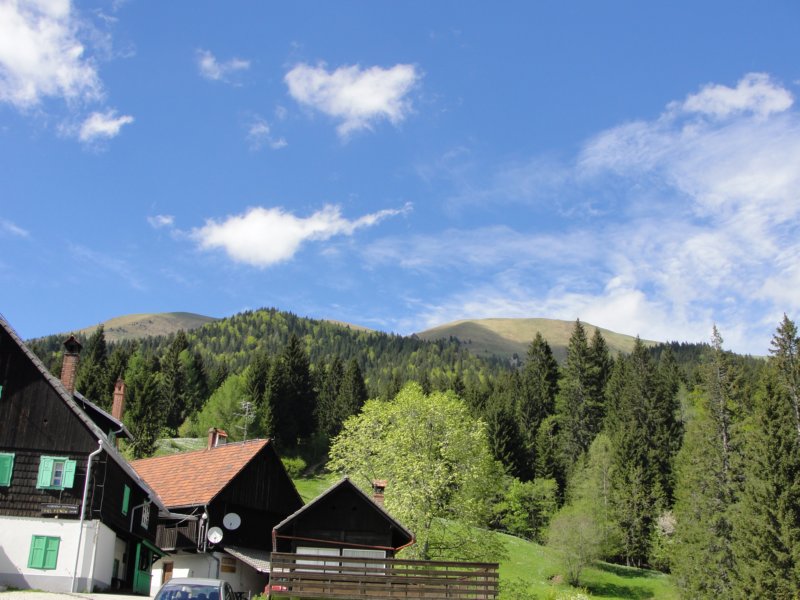 ptijivrhgolica99.jpg
