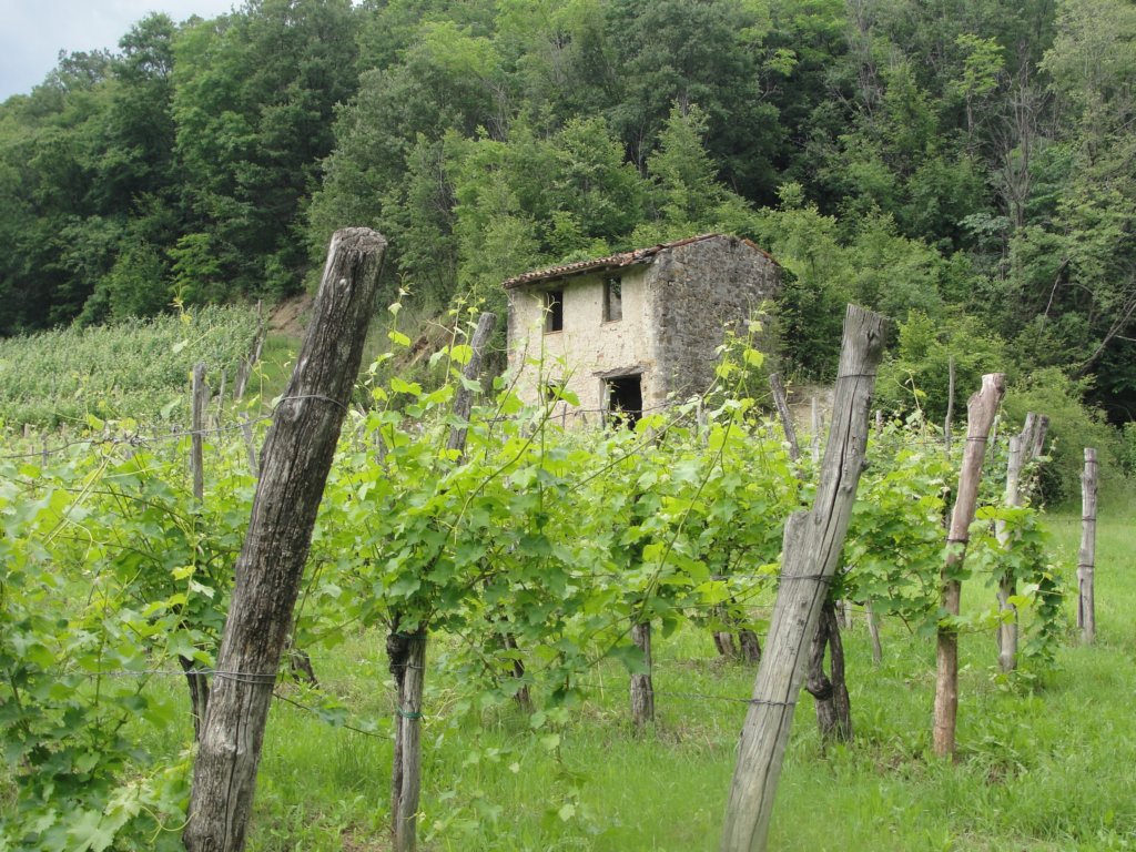 gorikabrda57.jpg