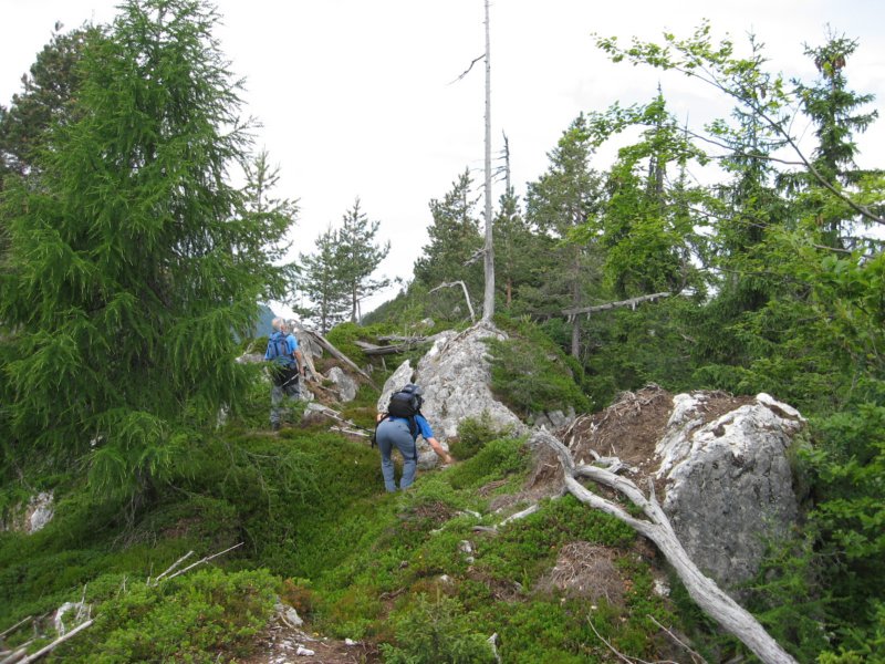 pohodstankakoflerja11.jpg