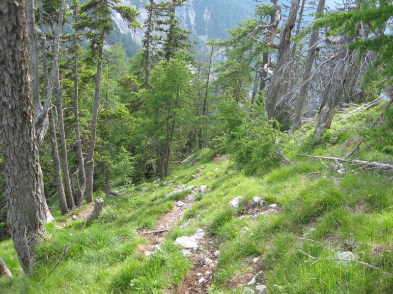 pohodstankakoflerja32.jpg