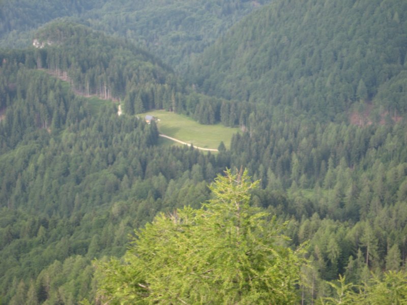 pohodstankakoflerja40.jpg