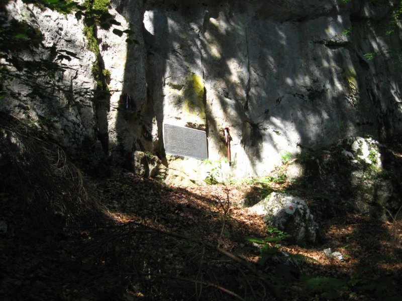 pohodstankakoflerja56.jpg