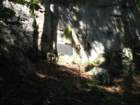pohodstankakoflerja56_small.jpg