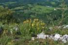 ilentabor202519_small.jpg