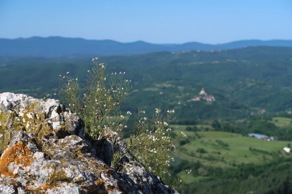 ilentabor202520.jpg