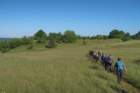 ilentabor20252_small.jpg