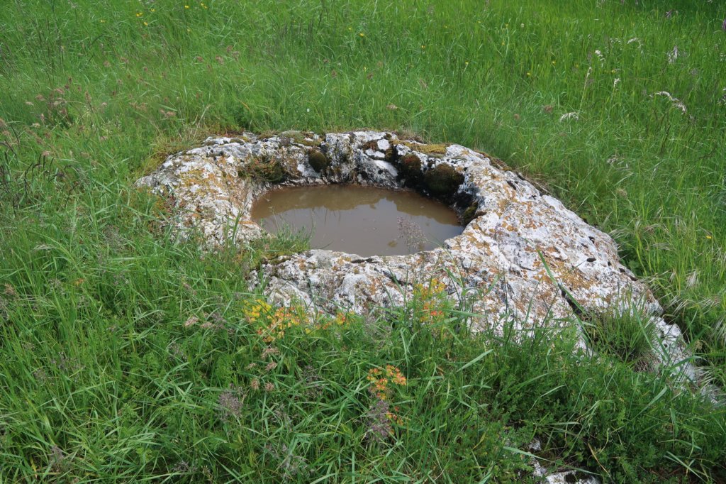 ilentabor202536.jpg