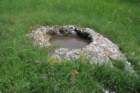 ilentabor202536_small.jpg
