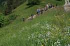 ilentabor202549_small.jpg