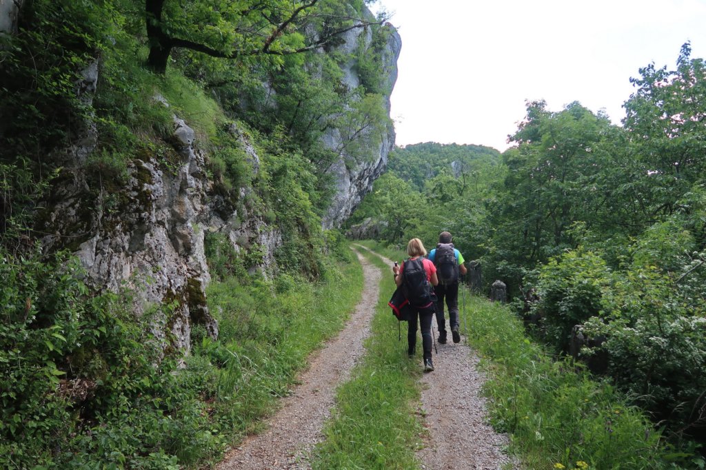 ilentabor202552.jpg