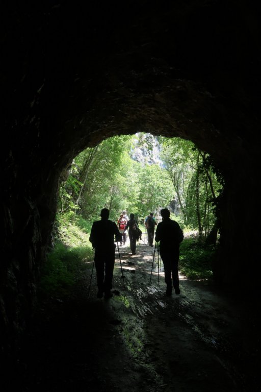 ilentabor202557.jpg