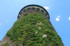ilentabor202565_small.jpg