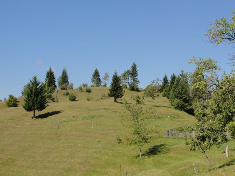 izvirabranke47.jpg