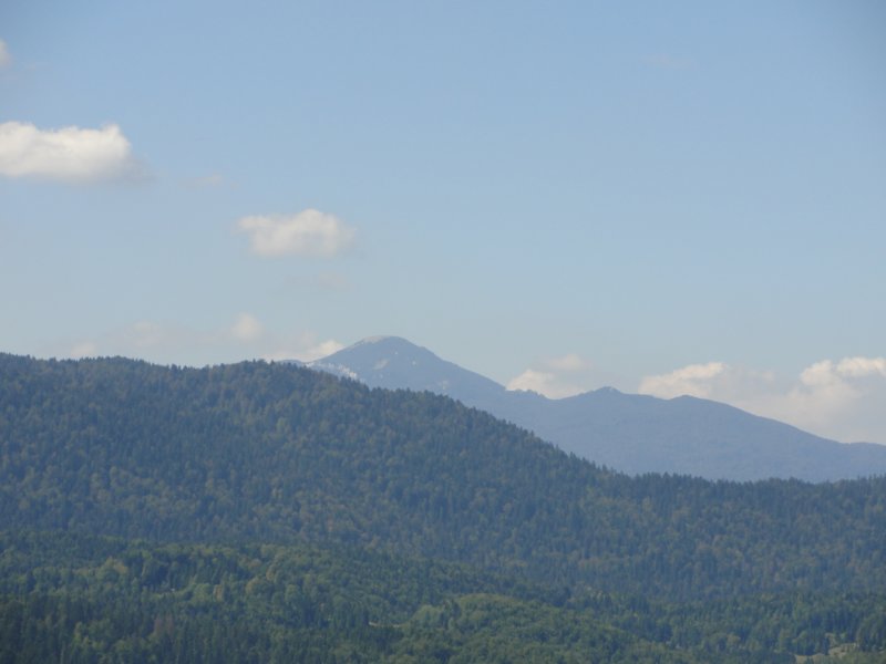 izvirabranke56.jpg