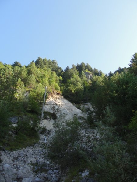 izvirabranke6.jpg
