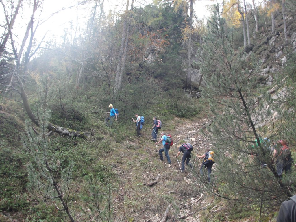 jerebikovec11.jpg