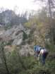 jerebikovec12_small.jpg