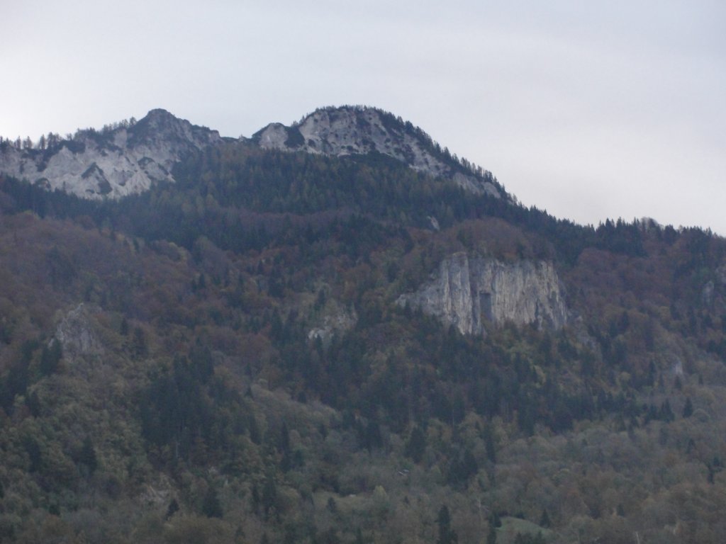 jerebikovec2.jpg
