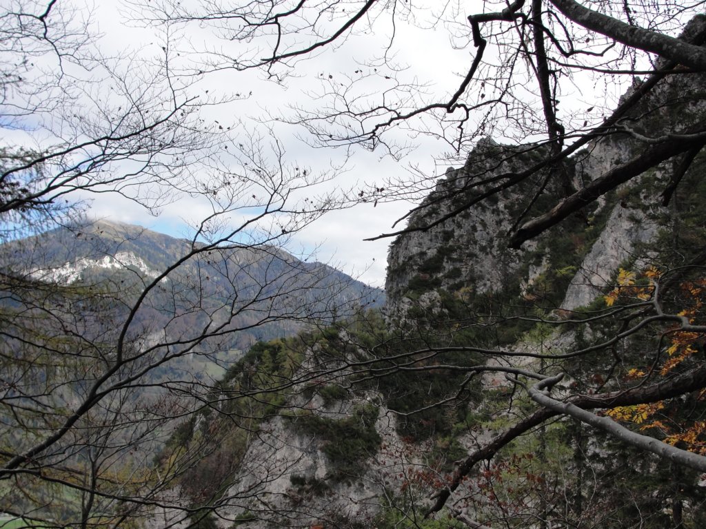 jerebikovec30.jpg