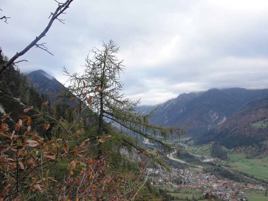 jerebikovec5.jpg