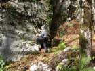 jerebikovec58_small.jpg