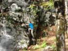 jerebikovec60_small.jpg