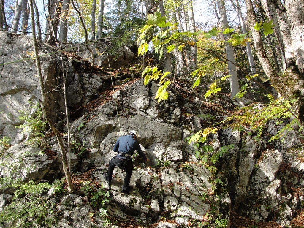 jerebikovec61.jpg