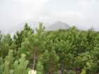 kobarikistol41_small.jpg