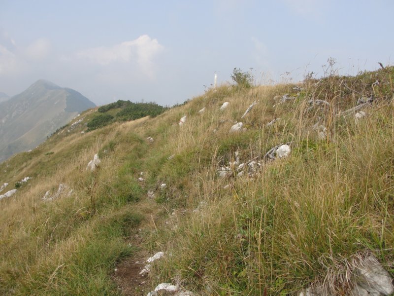 kobarikistol45.jpg