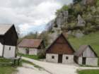 kobiljaglavajalovnik28_small.jpg