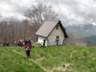 kobiljaglavajalovnik45_small.jpg