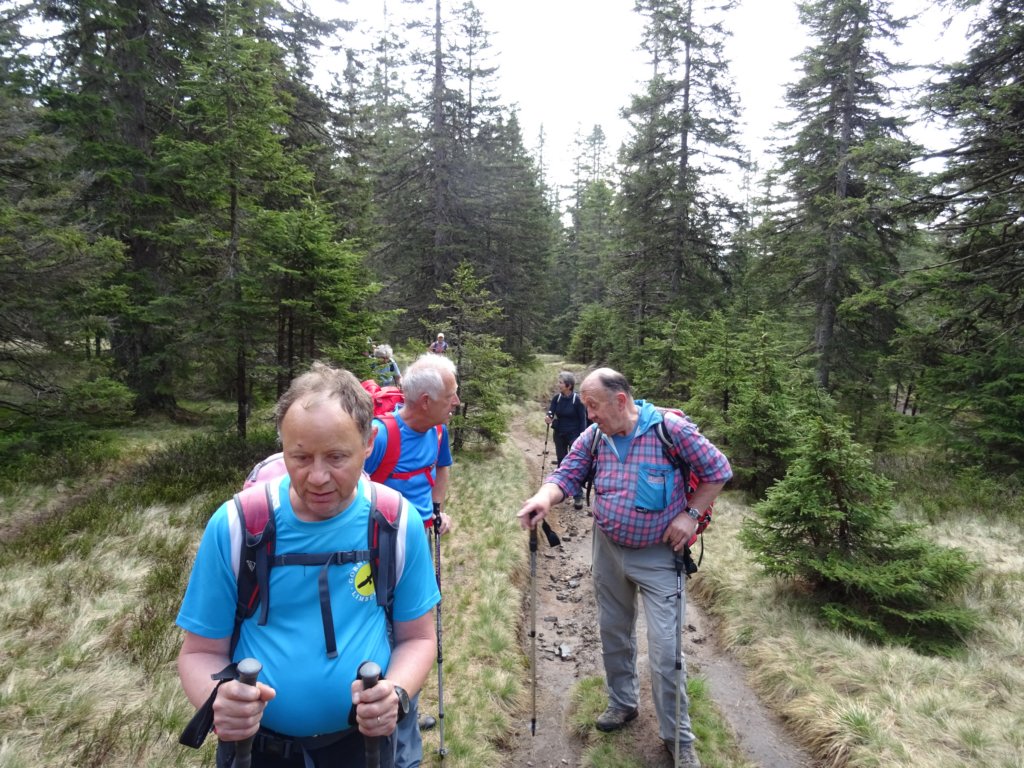 rogla11.jpg
