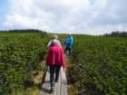 rogla22_small.jpg
