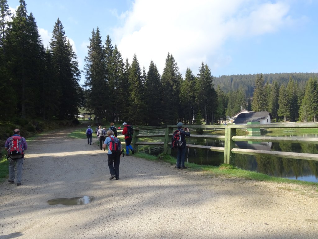 rogla3.jpg