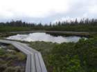 rogla33_small.jpg