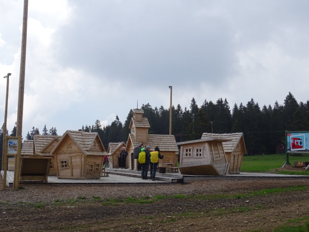 rogla62.jpg