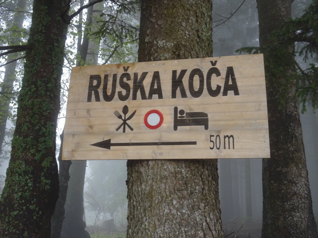 kocbekovoumik13.jpg