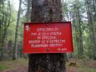 kocbekovoumik56_small.jpg