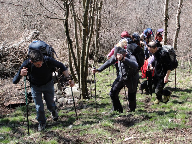 kolovrat40.jpg