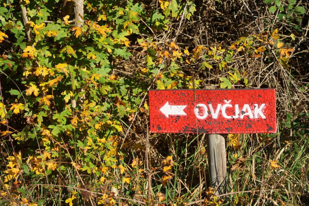 komenskikras21.jpg